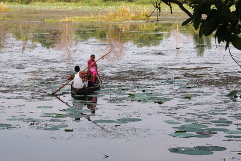 A DAY IN THE LIFE: A fisherman and his family look for fish as they row around the Ghodaghodi Lake in Kailali.