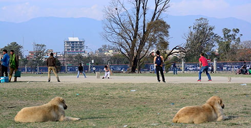 HOWZAT: Children play cricket at Tundikhel on Monday afternoon ahead of the Nepal-Bangladesh match at the ongoing ICC T20 World Cup in Bangladesh on Tuesday.
