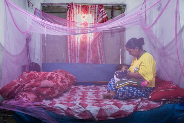 Mosquitos ascend to the base of Mt Everest